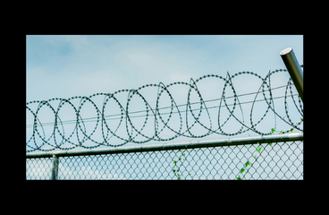 Concertina Wire Fencing Shri Shyam Industries